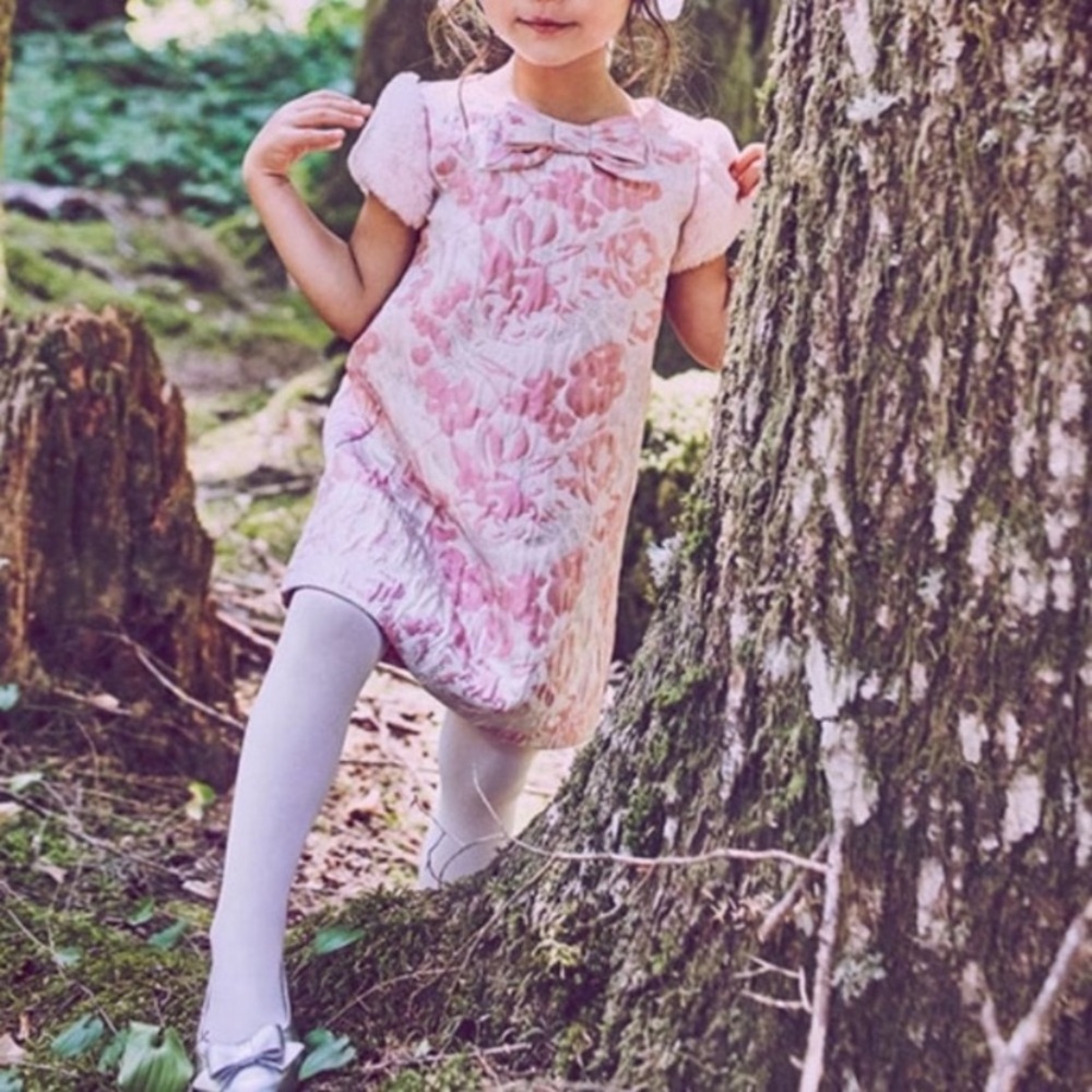 Janie and Jack Pink & Metallic Brocade Floral Dress Faux Fur Sleeves